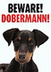 Lasterfans Avatar