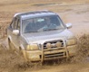 Ranger ICs Avatar